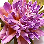 Цветы из фоамирана